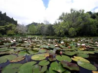 Rapaura Watergardens Hotels in Thames