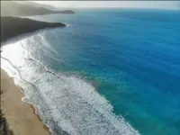 Coconut Tree Villa Hotels in Parham Town