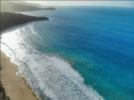 Coconut Tree Villa Отели в г. Belle Vue