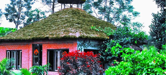 Rainbow Safari Resort Hotels in Sauraha