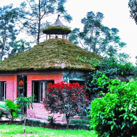 Rainbow Safari Resort