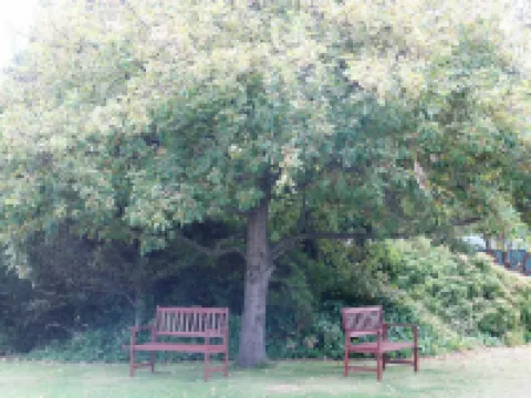馬拉盧卡汽車旅館 波特蘭酒店
