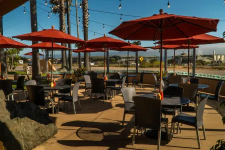 San Simeon Lodge Отели рядом с достопримечательностью «Friends Of The Elephant Seal»