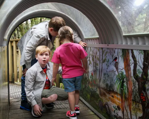 Peppers Cradle Mountain Lodge Photos