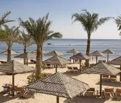 JAZ Miramar Al Aqah - Beach