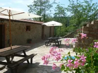 Tuscany Apartment with 2 Pools - pet friendly