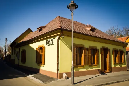Pensiunea Kant