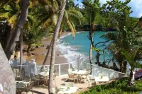 Bahia Principe Grand Samana - Adults Only - Ocean View