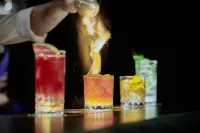 施沃澤阿德勒因斯布魯克酒店 - 酒吧