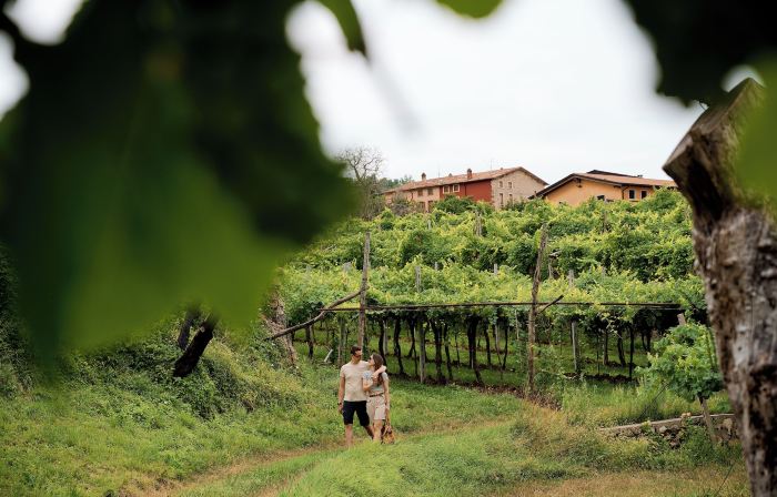 Le Bignele - Alloggio Agrituristico