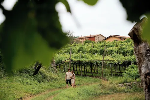 Le Bignele - Alloggio Agrituristico Hôtels à : Fumane