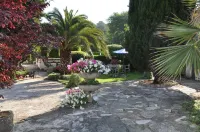 Hôtel les Liserons de Mougins Hôtels à : Mouans-Sartoux