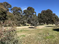 Canberra Lyneham Motor Inn Hotels in Уотсон