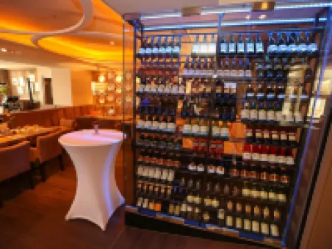 ホテル アレクト フライブルクのホテル