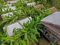馬德望美夢平房飯店 住宿飯店