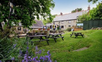 The Buddle Inn