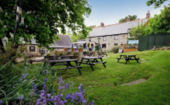 The Buddle Inn Отели в г. 