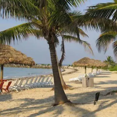 The Marlin at Taino Beach Resort