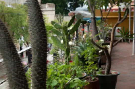 Hotel Boutique Casa Catrina Hotels in 