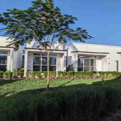 Mafia Dream hotel Hotel Exterior