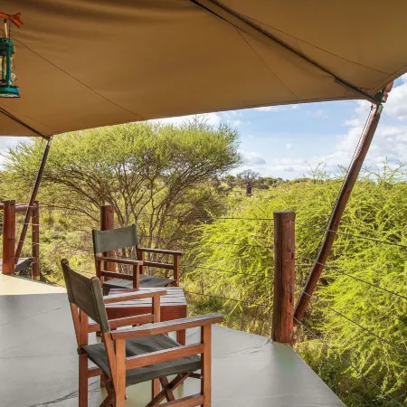 Tarangire Kuro Treetop Lodge Hotele w: Babati