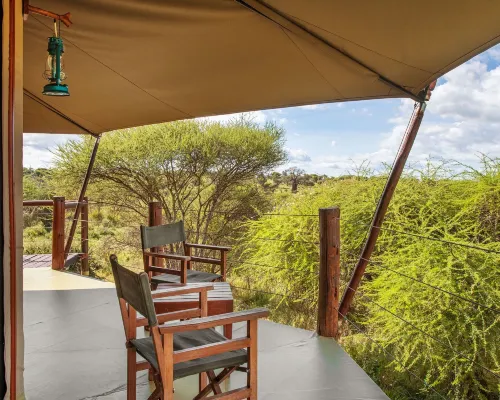 Tarangire Kuro Treetop Lodge Hoteles en Babati