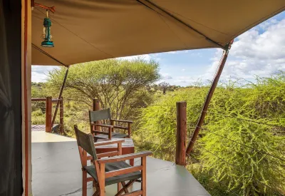 Tarangire Kuro Treetop Lodge Hotels near Babu Asali Shop