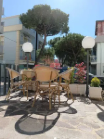 ホテル ニュー アルパ のホテル