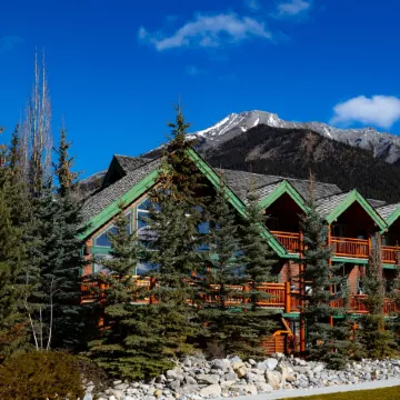 A Bear and Bison Country Inn