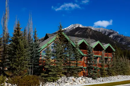 A Bear and Bison Country Inn