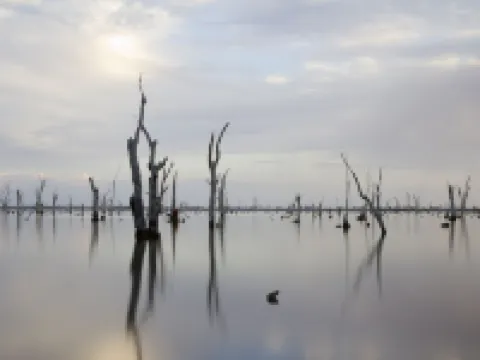 Motel Yarrawonga Hotels in Yarrawonga