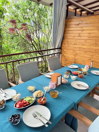 Gelidonya Pansiyon Отели в г. Кумлуджа