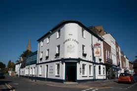 Albert Arms