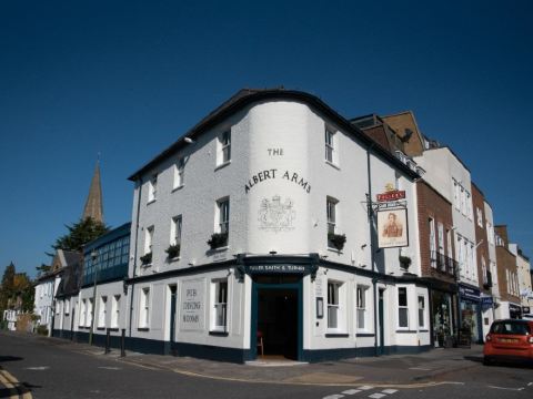 Albert Arms