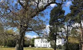 The Retreat New Forest, Hinton