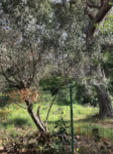 Small haven of peace 250m from the beach of carry le rouet