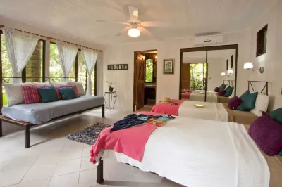 Roof Top Deck with Huge Views, 3 Pools, Chef Included, Game Room, Monkeys Hotels in 