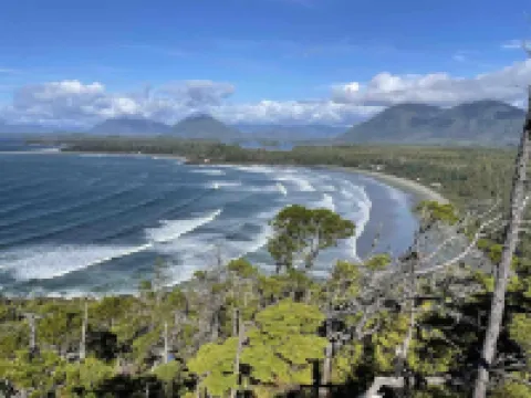 A wave from it all! Enjoy our newly renovated cabin to relax and unwind.