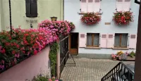 Detached house in a quiet private courtyard in the heart of Bergheim