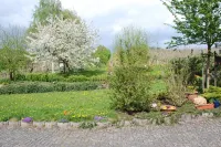 Ferien-Weingut Römerhof -Upper floor 네렌 호텔