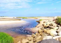 Cottage near bay beach- 1 Bd/1Ba