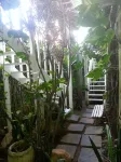 Hotel Pousada Papaya Verde โรงแรมใกล้ประภาคารบาร์ฮา