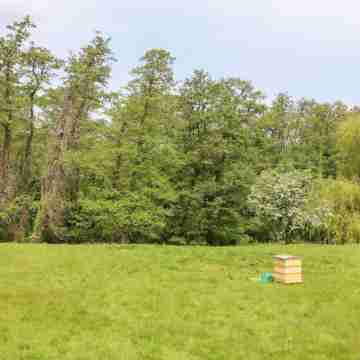 The Snug at Pickelden Farmhouse Others