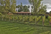 Posada Verde Oliva Các khách sạn ở 