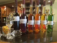 Elbhotel Bad Schandau - Bar