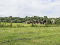 Oast Cottage Hotels in Tonbridge and Malling District