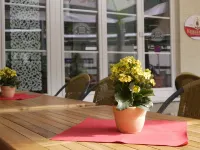 Hotel Pinger Hotels in Remagen