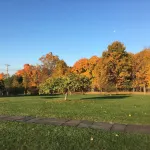 Ashling Acres Hotels in Hamilton