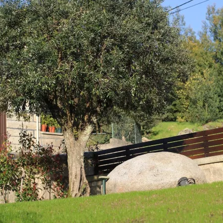 Villa Tavares Guest Houses