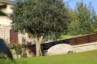 Villa Tavares Guest Houses Отели в г. 